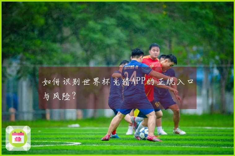 如何识别世界杯竞猜APP的正规入口与风险？