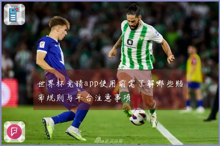 世界杯竞猜app使用前需了解哪些赔率规则与平台注意事项